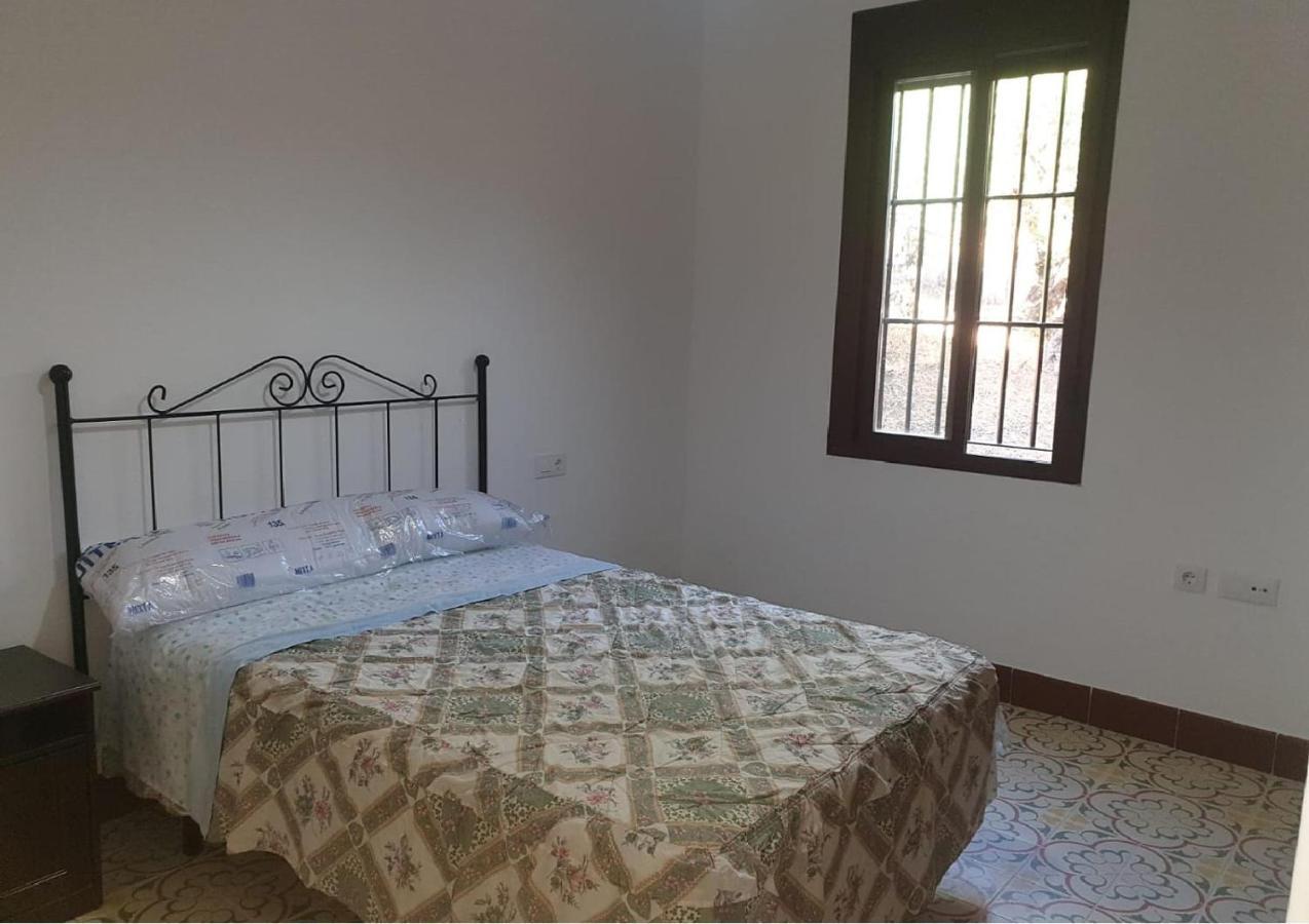 Villa El Mirador Algodonales Zewnętrze zdjęcie